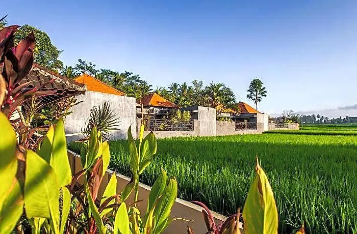 Asri Sari Ubud & Sukawati