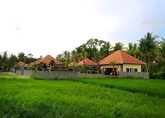 Asri Sari Ubud & * Sukawati (Bali)