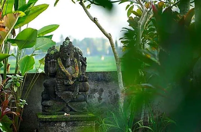Asri Sari Ubud &