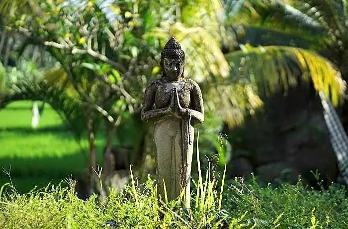 Villa Asri Sari Ubud & Sukawati (Bali)