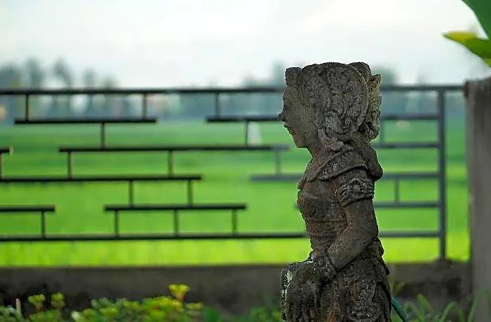 Asri Sari Ubud & *
